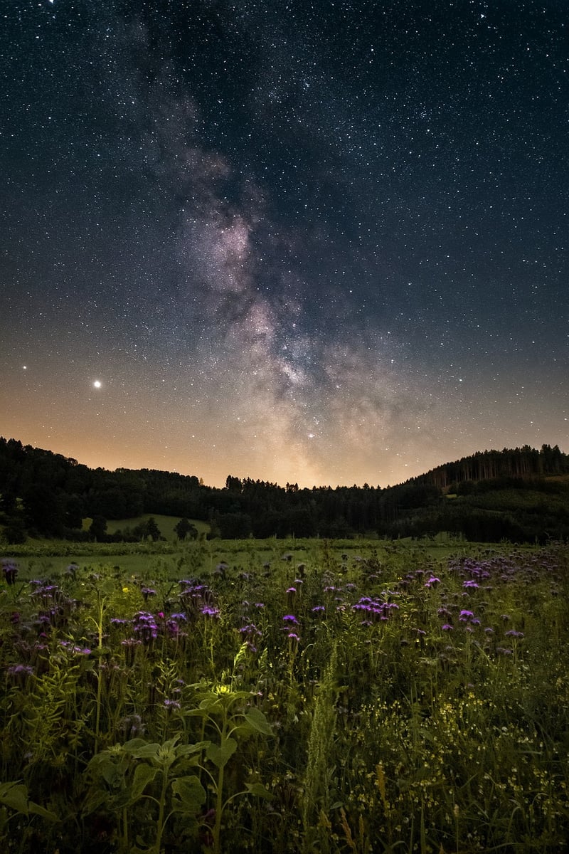 Galactic Wars